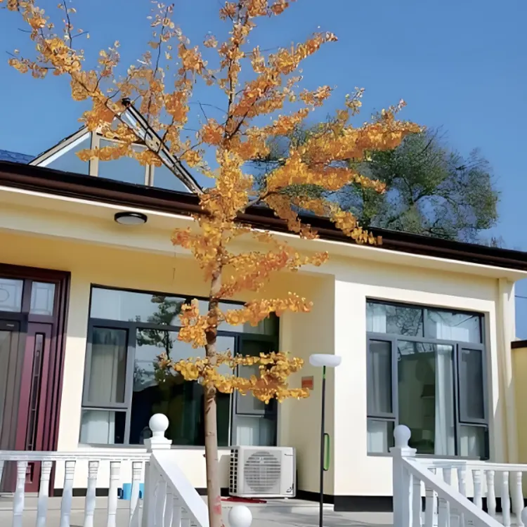 Новый проект строительства сельской местности в поселке Тайпин уезда Паньшань